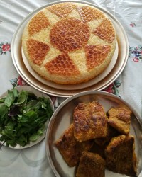 شنسیل ماهی