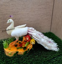 طاووس با ترب