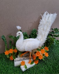 طاووس با ترب