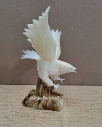 عقاب با ترب