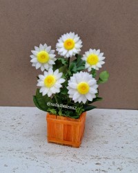 جعبه با هویج