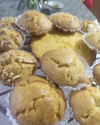 کاپ کیک کدو حلوایی