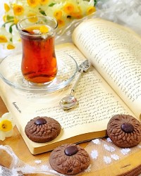 بیسکویت شکلاتی