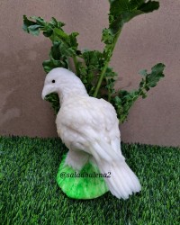 عقاب با شلغم