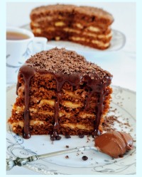 کیک شکلاتی بامربای تمشک