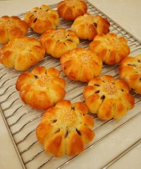 کلوچه خرمایی