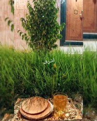 پنکیک ودمنوش سیب وبه