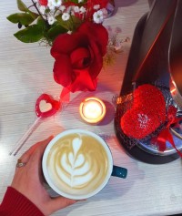 ذوق کوچک من