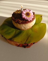 چیز کیک شکلاتی