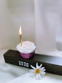 کاپ کیک ساده