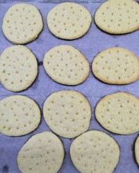 بیسکویت دایجستیو(ساقه‌طلائی)