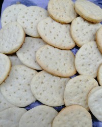 بیسکویت دایجستیو(ساقه‌طلائی)