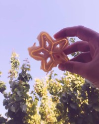 نون پنجره ای