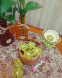 شیرینی پسته مغزدار