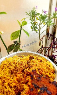 ماکارانی (به وقتِ سحر)