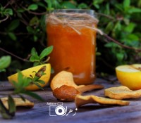 مارمالاد سیب