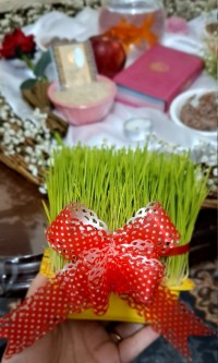 هفت سین ۱۴۰۴