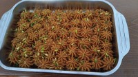 حلوای سوهان 