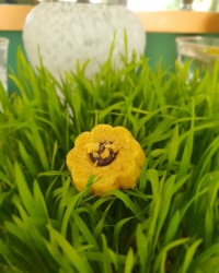 شیرینی با مغز شکلات