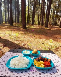 کته شامی
 ورق زدنی