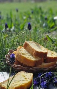 #آشپزی درطبعیت#