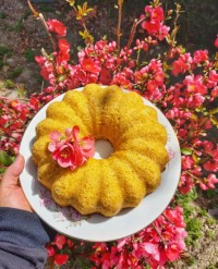 اندکی روزمرگی های بهاری