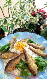 ماهی سرخ شده(تلاجی)