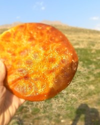 کلوچه خونگی