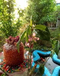 کیک ساده تولدم