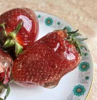 توت فرنگی آبنباتی