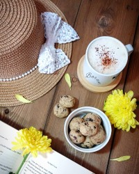 مینی کوکی چاکلت چیپ