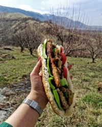 بوقلمون برگر یونانی