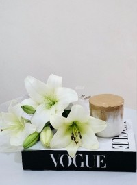 دالگونا