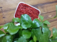 سس فلفل دلمه ای قرمز