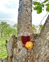 کیک یزدی