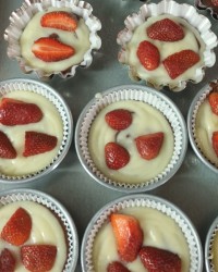 پای توت فرنگی کرمدار