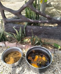 قلیه ماهی تند و تیز بوشهری و لِلَک