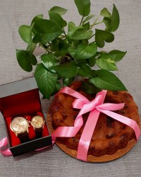 کیک توت سیاه