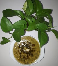 آش جو # جاتون سبز همراهان گرامی #