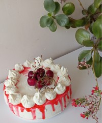 کیک تولد
به وقت۱۴۰۴/۰۴/۰۴