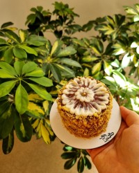 کیک شیفون و باترکریم