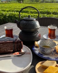 زندگی همین لحظههاست: