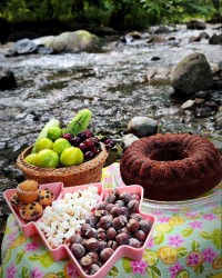 عصرانه در طبیعت 