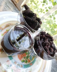 مربا توت سیاه