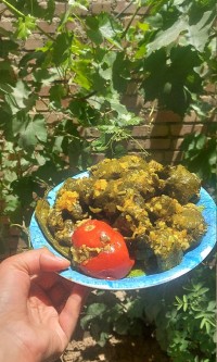 دلمه ای که برگ مو ش رو از حیاط خودم چیدم...
طعمش یه جور دیگه خاص و خوشمزه بود...بماند یادگاری