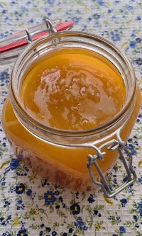 مارمالاد زردآلو