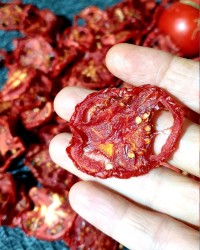 گوجه خشک شده