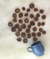 لیمو عمانی خانگی