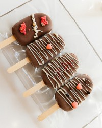 بستنی فاج شکلاتی