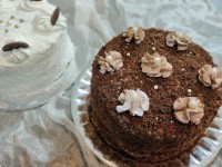 کیک کافی شاپی کلاسیک ورافائلو